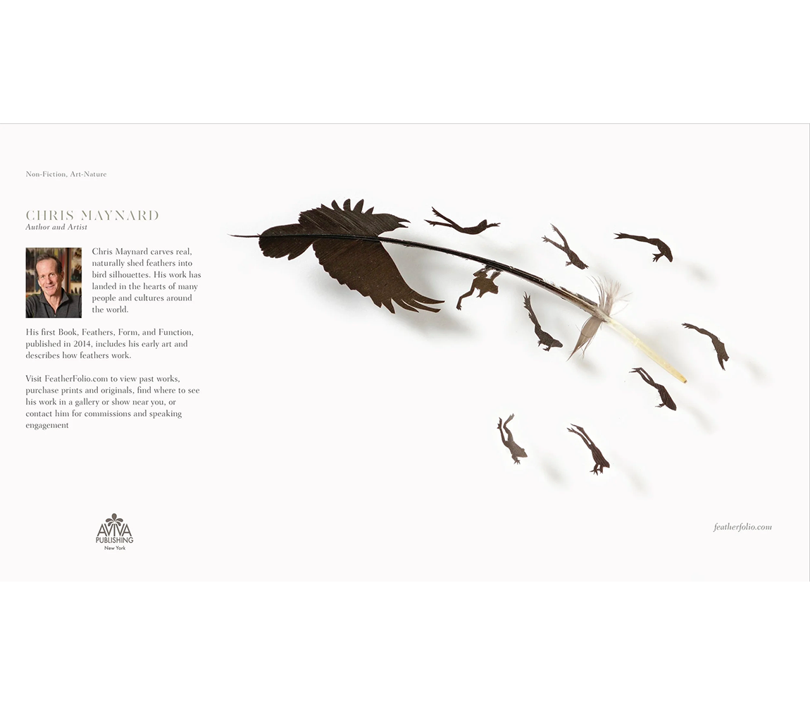 Feathers: Symbology and Meaning book - Chris Maynard
